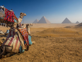 take-a-camel-ride-to-the-pyramids-of-giza-egypt